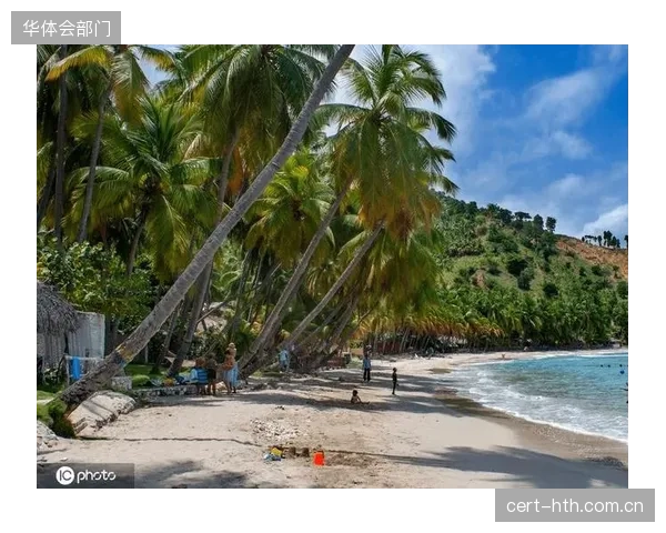 海地队将演练快速反击战术,利用中场球员让·雅克的拦截能力简化攻防转换环节。 海地队将演练快速反击战术,利用中场球员让·雅克的拦截能力简化攻防转换环节。